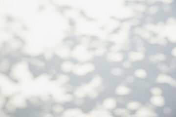 The shadow of the sun shining through the wood