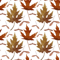 Fototapeta premium Seamless pattern with watercolor autumn leaves. Beautiful detailed fall maple leaves and seeds in pastel colors isolated on white background 