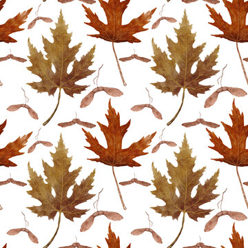 Seamless pattern with watercolor autumn leaves. Beautiful detailed fall maple leaves and seeds in pastel colors isolated on white background	