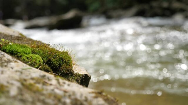 Shining waters of a mountain river flowing calmly among stony riverbanks 