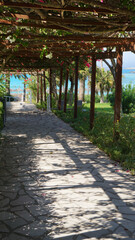 Berso is a garden and park structure, a gallery, a passage formed by vertical walls of the trellis...