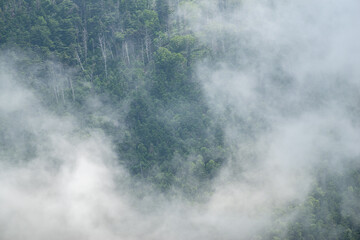 雲が湧く山