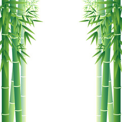 Fototapeta na wymiar シンプルな竹のフレーム、ベクター素材