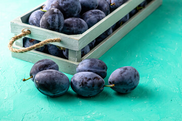freshly picked ripe plums in a vintage box several plums are lying next to each other on the table