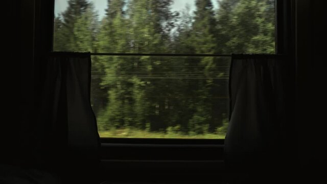 Video Of August Forest View From Moving Train Window