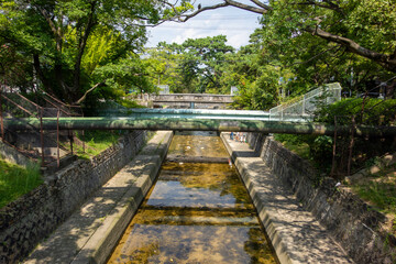 bridge over the river