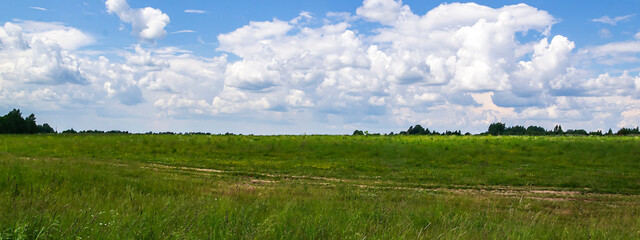 green landscape, field