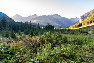 Javorova dolina valley with peaks around in Tatra mountains in Slovakia © honza28683
