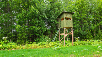 a tower for hunting in the forest