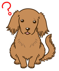 疑問に思うダックスフンド（レッド）