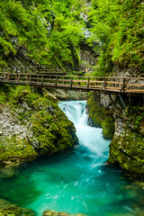 Turquoise Water in Vintgar Gorge in Slovenia. Europe Wild Landscape and Nature.