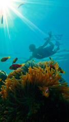 Fototapeta na wymiar underwater fishes diving in the Maldives island