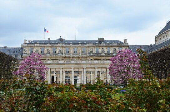 Jardin Du Palais Royal, City Of Paris, France