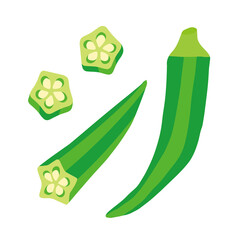オクラのイラスト