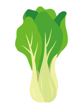 チンゲン菜 Images Browse 1 015 Stock Photos Vectors And Video Adobe Stock