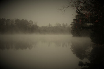 Lake in a dense forest on a foggy day