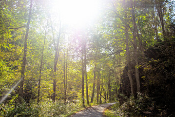 Obraz premium Bei Blechhammer