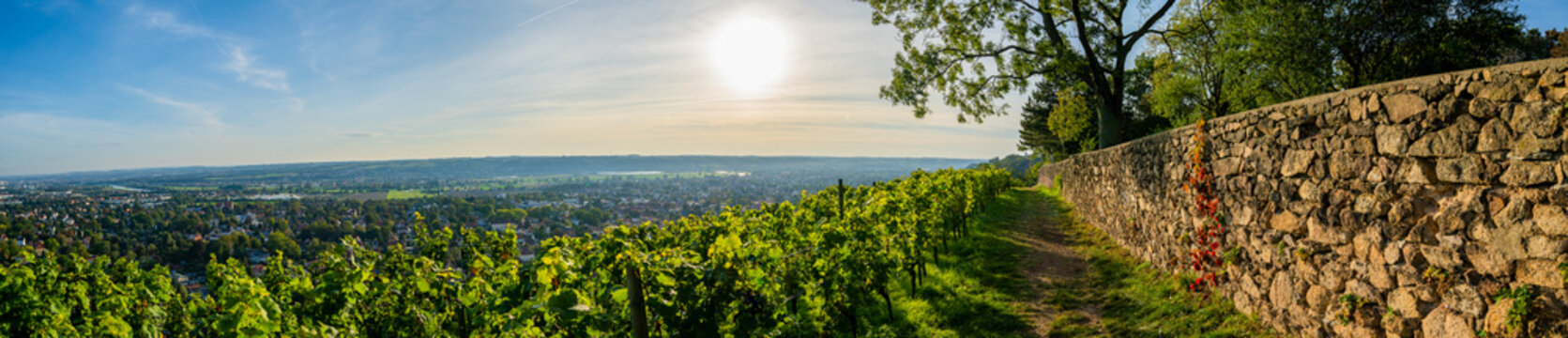 Radebeul Sachsen Weinh&auml;nge Spitzhaus Dresden Wein Gr&uuml;n Sonne Himmel Bismarkturm Hofl&ouml;&szlig;nitz