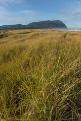 Fototapeta premium The resort town and beach 