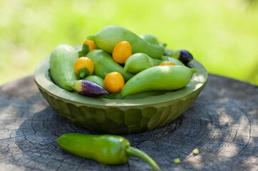 Achocha, Cyclanthera pedata. Mix of chilli. Healthy vegetables in wooden bowl on wooden log
