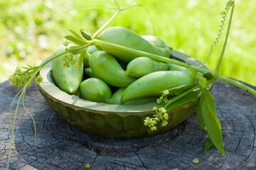 Achocha, Cyclanthera pedata. Mix of chilli. Healthy vegetables in wooden bowl on wooden log