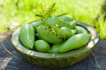 Achocha, Cyclanthera pedata. Mix of chilli. Healthy vegetables in wooden bowl on wooden log