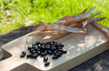 Peeled black beans. Dry bean´s pods. Wooden cutting board