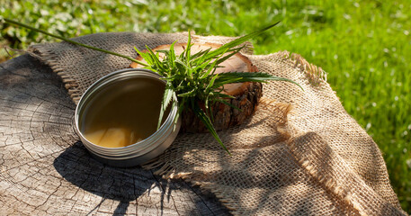 Homemade hemp balm on wooden log. Green cannabis flower and leaves background
