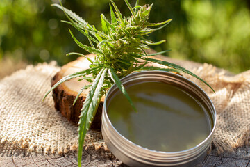 Homemade hemp balm on wooden log. Green cannabis flower and leaves background