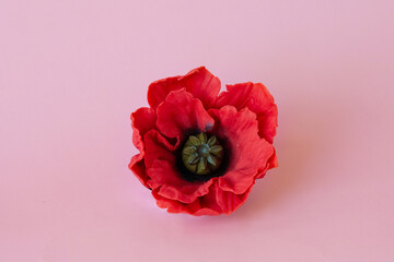 Red poppy from chocolate on a pink background. Pastry