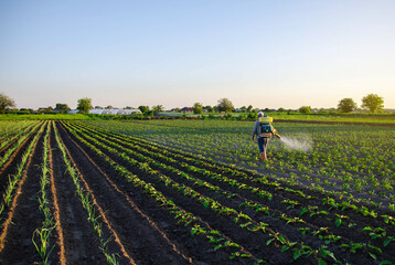 Farmer sprays a potato plantation with a sprayer. Effective crop protection of cultivated plants...