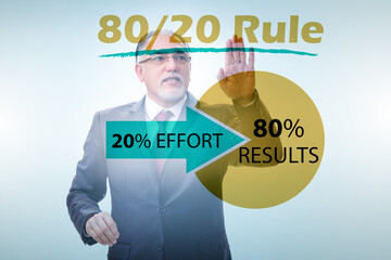 Businessman in pareto rule illustration