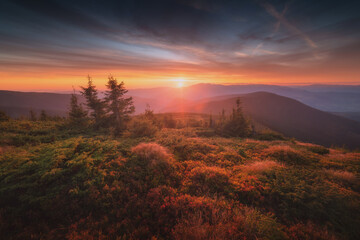 Naklejka premium The gorgeous carpathian mountain valley