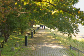  It feels like it's autumn already.
