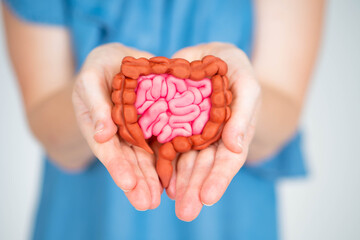 Woman holds intestines in her palms. Gastrointestinal tract. Intestinal tract in woman hand. Girl stretches intestines towards camera. Red and pink bowel mockup in hands. Intestines health. - obrazy, fototapety, plakaty