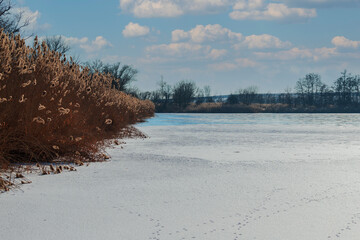 Winter landscape, frozen pond on which there is snow. There are trees and grass around the pond.