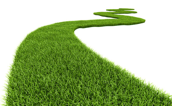 Green Grass Path. Grass Road On White Background. 3d Rendering