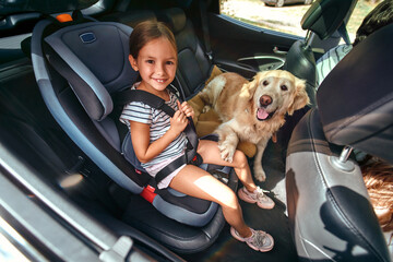 Cute little girl child in a car seat protected by seat belts together with her friend dog labrador...