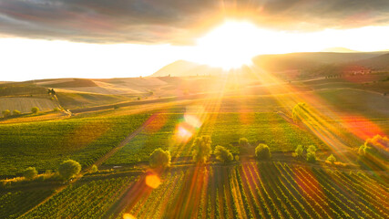 lens flare, sunrays over the vineyards, hilly landscape after rain. Aerial view, drone shot.