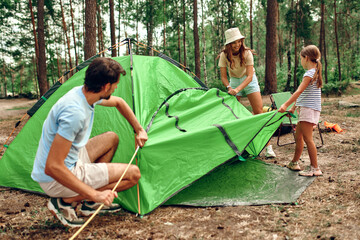 Happy family on a weekend in a pine forest together put up a tent. Child girl helping parents set...