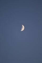 Obraz na płótnie Canvas Quarter of the moon in a clear blue sky