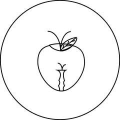 Apple Icon Vector in illustration 