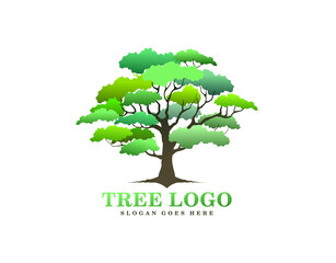 tree logo design, oak tree illustrations