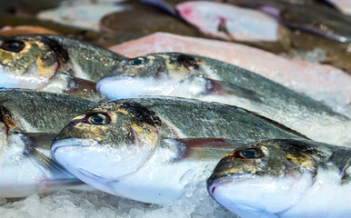 Sea bream on ice for sale at a French fishmonger
