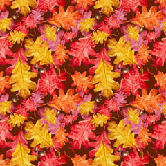 A pattern of bright autumn leaves of oak  with acorns. A modern sample. Bright autumn. Leaf fall. You can use it for your own design.