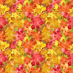 Naklejka na ściany i meble A pattern of bright autumn leaves of oak. A modern sample. Bright autumn. Leaf fall. You can use it for your own design.