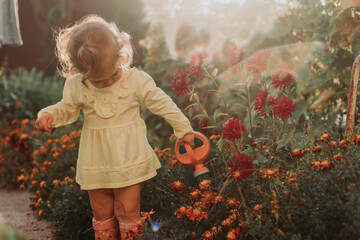Little girl in a yellow dress and rubber boots is watering flowers in the garden. Little helper by...