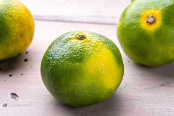 みかん（極早生温州みかん）