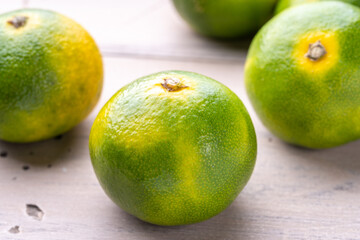 みかん（極早生温州みかん）