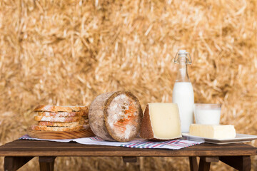 still life of hard cheese, milk, bread and butter in the hay